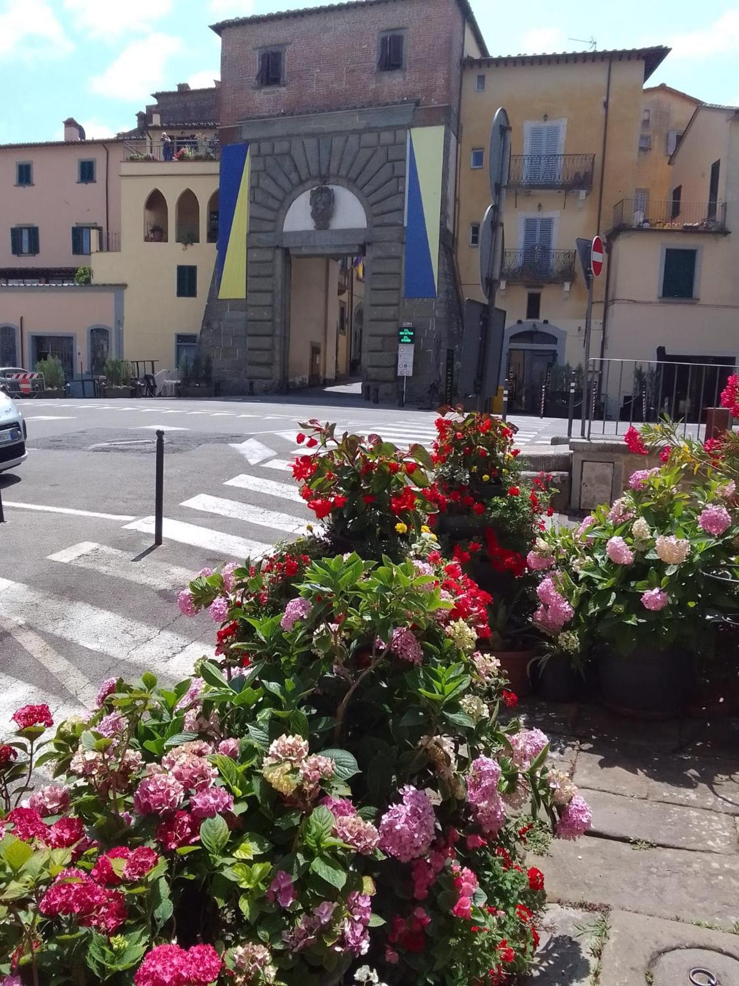Dalla Carla In Toscana Monte San Savino Dış mekan fotoğraf